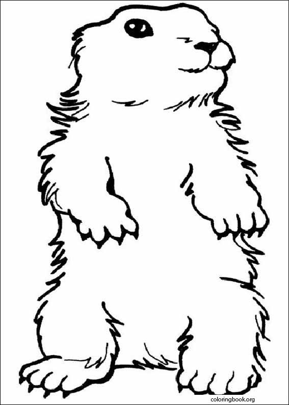 Groundhog Day coloring page (004)
