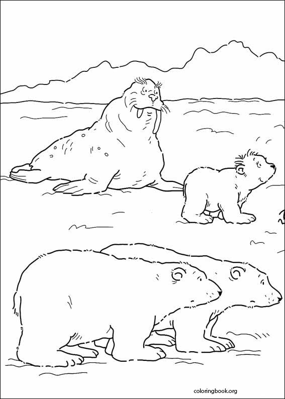 Little Polar Bear coloring page (003)