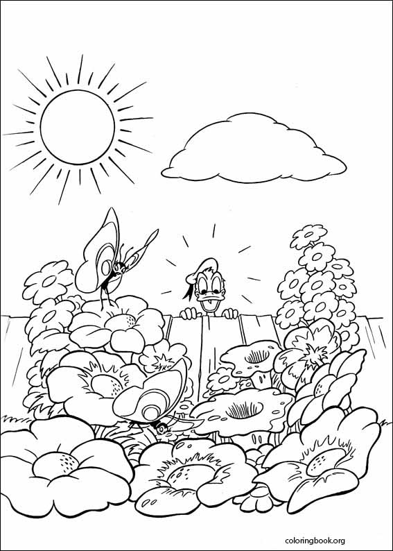 Donald Duck coloring page (019)
