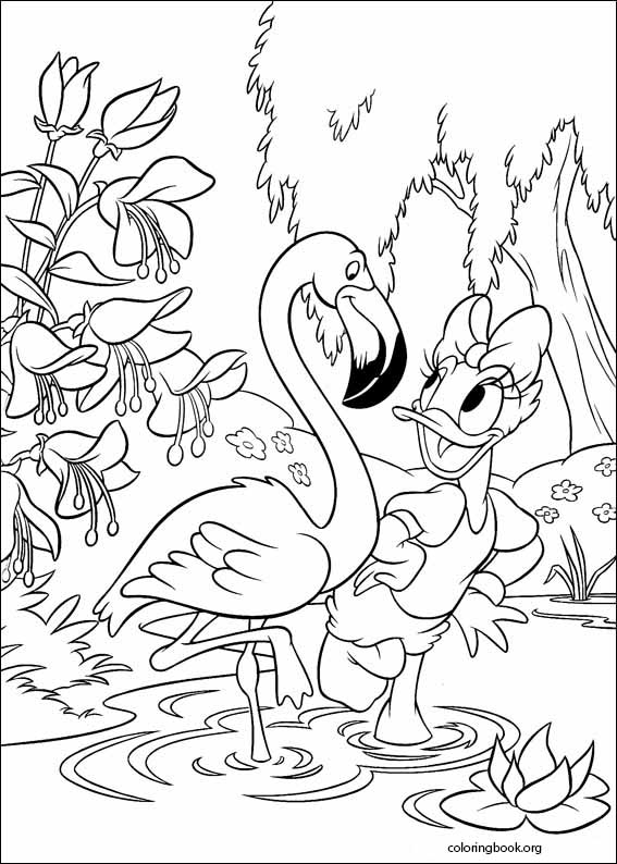 Donald Duck coloring page (048)
