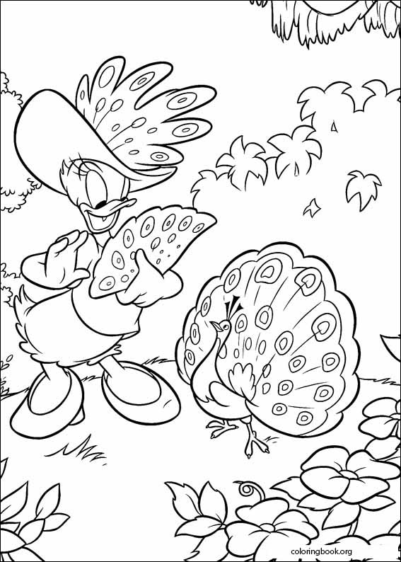 Donald Duck coloring page (062)