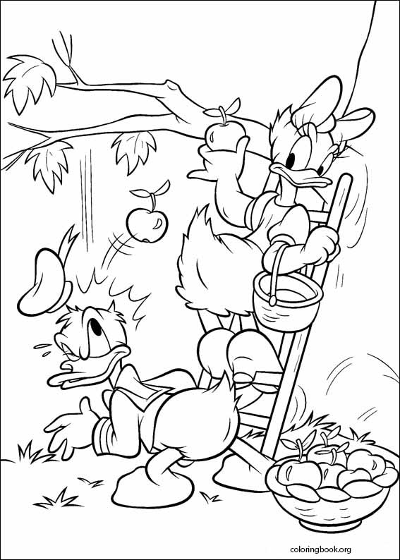 Donald Duck coloring page (068)