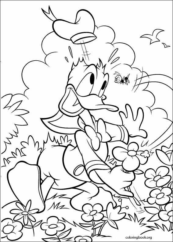 Donald Duck coloring page (072)
