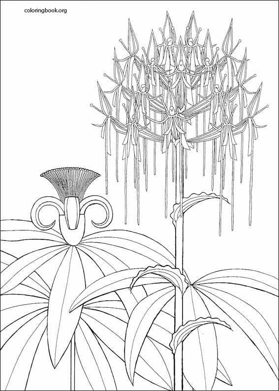 Kirikou coloring page (016)