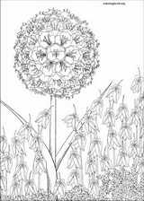 Kirikou coloring page (015)