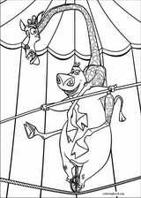 Madagascar 3 coloring page (003)