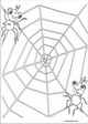 Miss Spider coloring pages