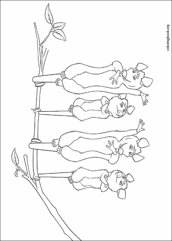 Over The Hedge coloring page (014)