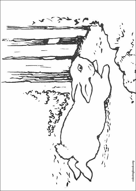 Peter Rabbit coloring page (023)
