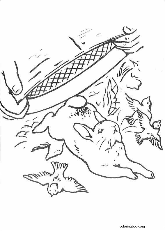 Peter Rabbit coloring page (027)