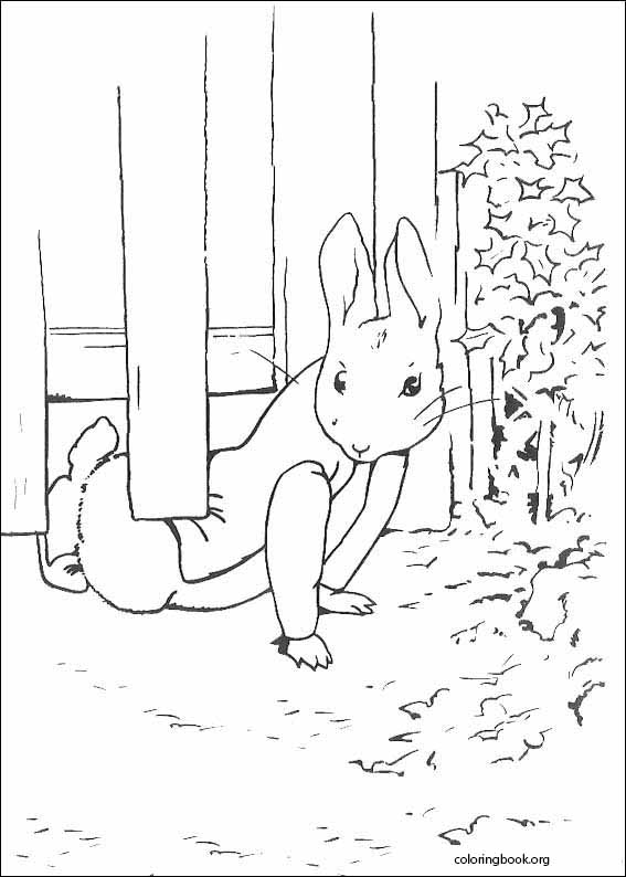 Peter Rabbit coloring page (030)