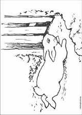 Peter Rabbit coloring page (023)