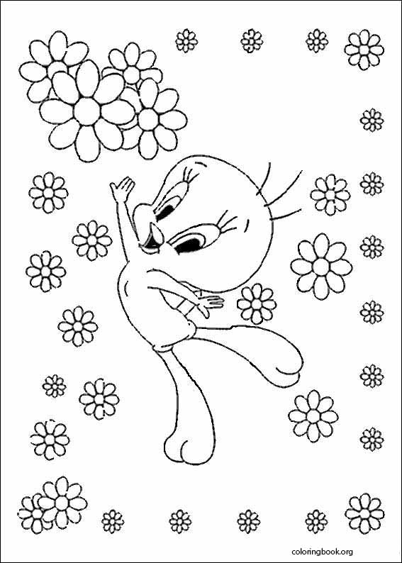 Tweety coloring page (069)